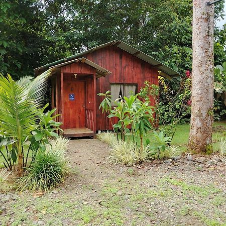 Citronela Lodge Corcovado Drake Bay Luaran gambar