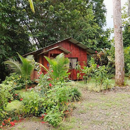 Citronela Lodge Corcovado Drake Bay Luaran gambar
