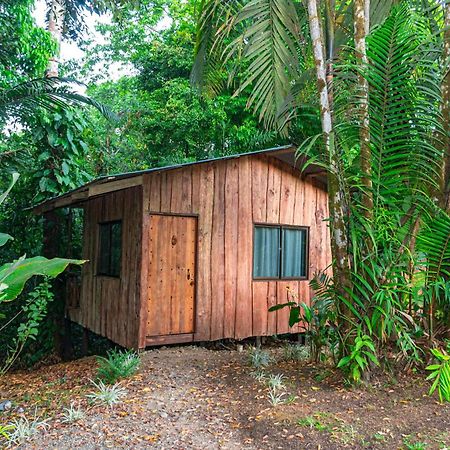 Citronela Lodge Corcovado Drake Bay Luaran gambar