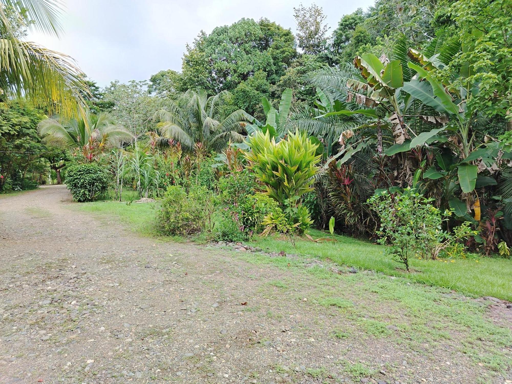 Citronela Lodge Corcovado Drake Bay Luaran gambar