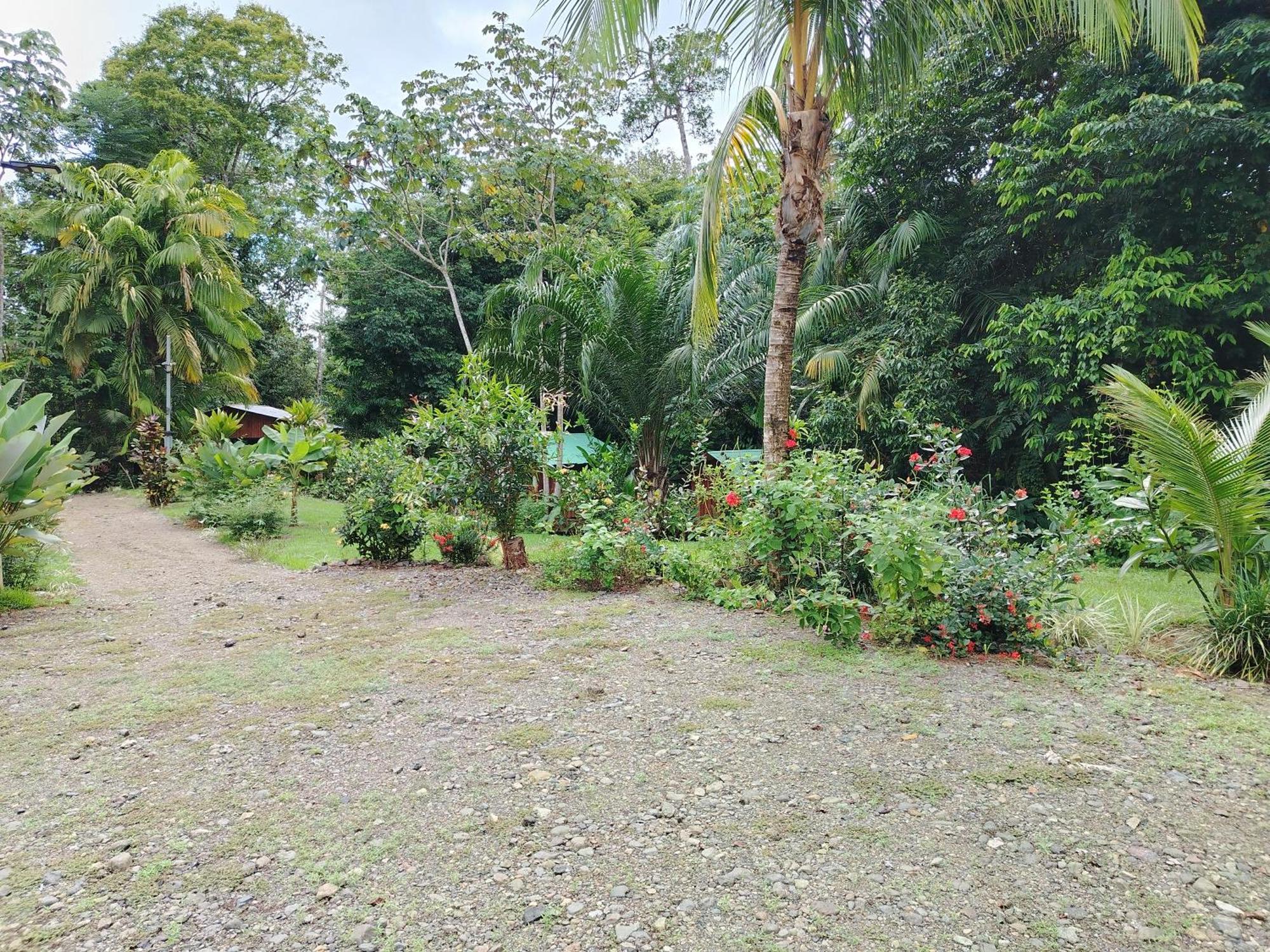 Citronela Lodge Corcovado Drake Bay Luaran gambar