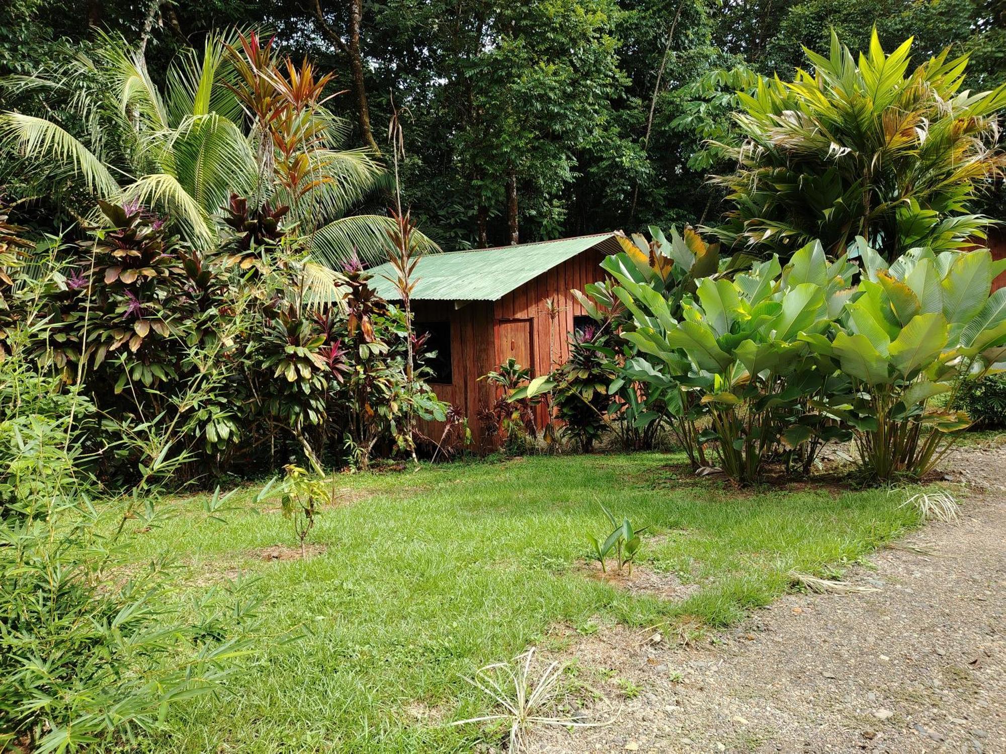Citronela Lodge Corcovado Drake Bay Luaran gambar