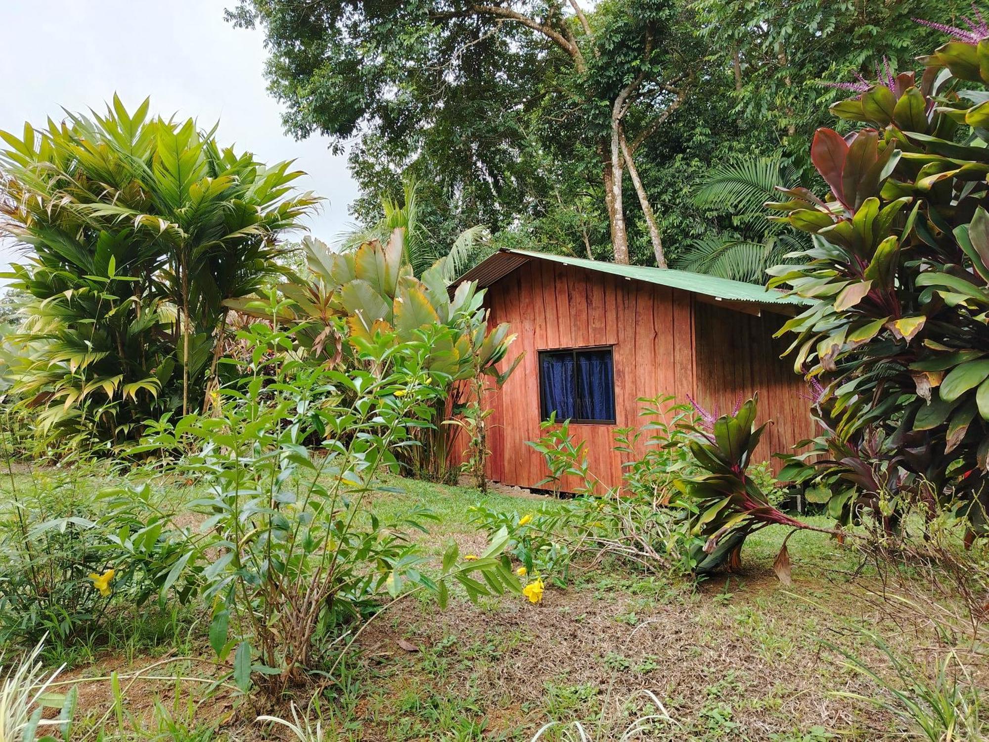 Citronela Lodge Corcovado Drake Bay Luaran gambar