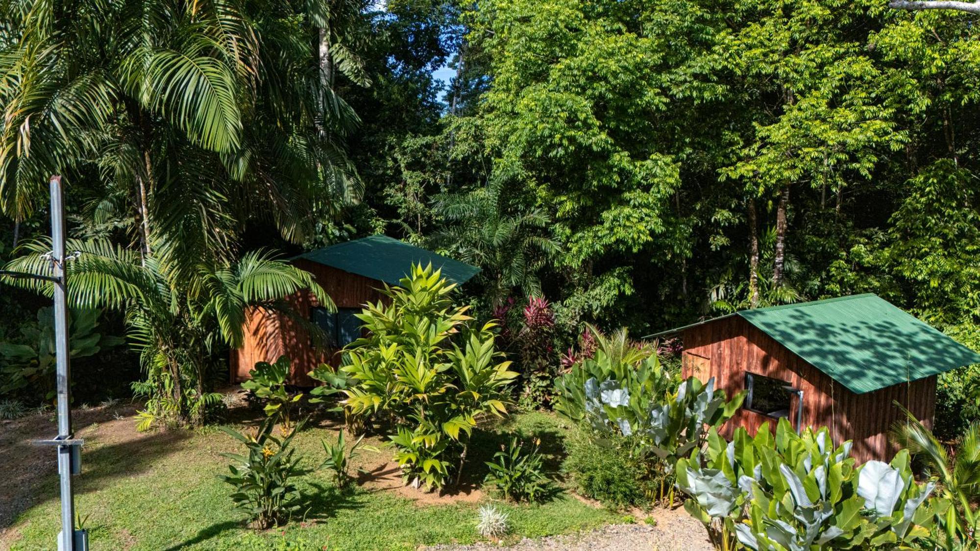 Citronela Lodge Corcovado Drake Bay Luaran gambar