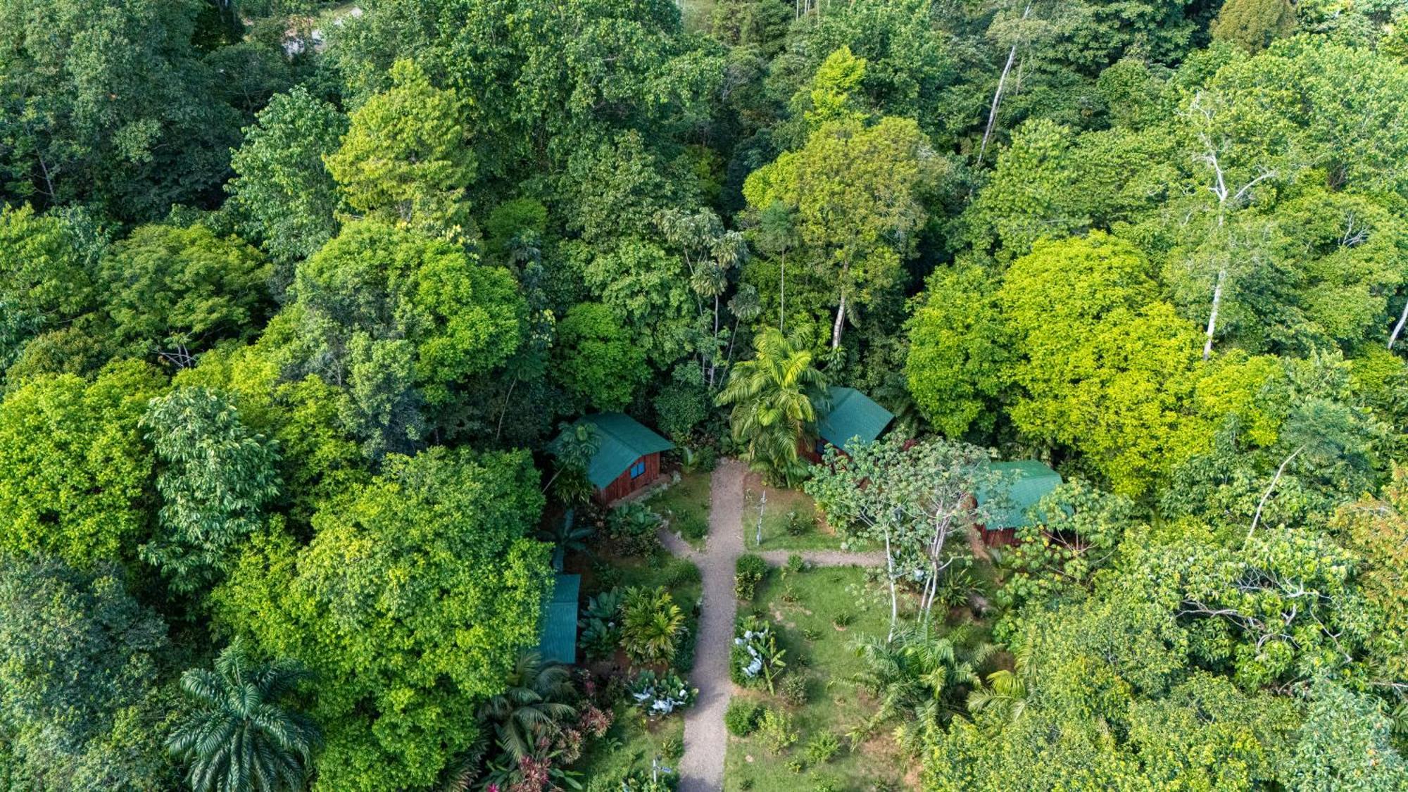 Citronela Lodge Corcovado Drake Bay Luaran gambar