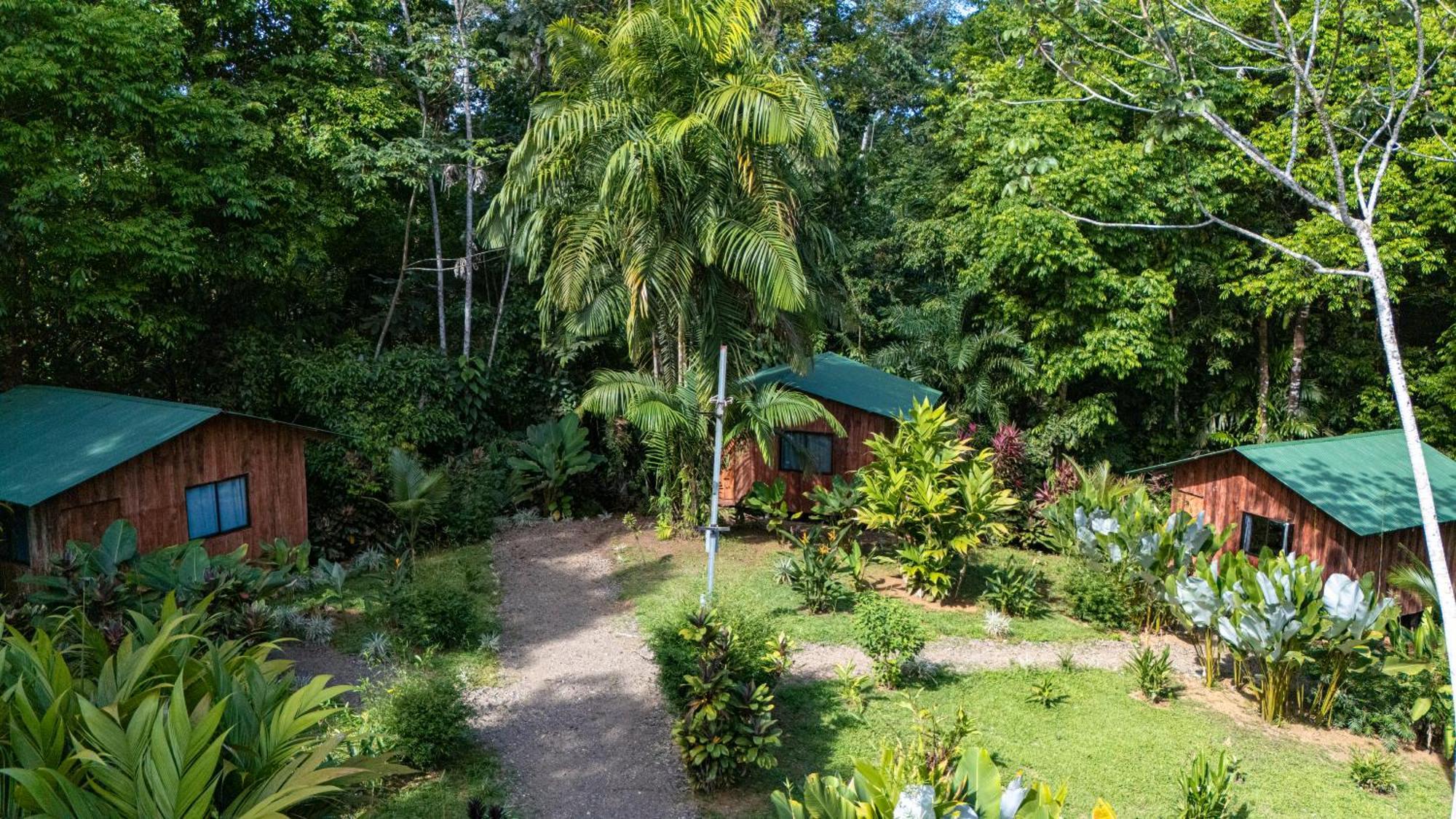 Citronela Lodge Corcovado Drake Bay Luaran gambar