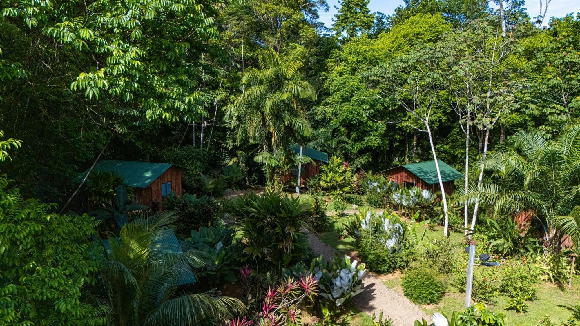 Citronela Lodge Corcovado Drake Bay Luaran gambar