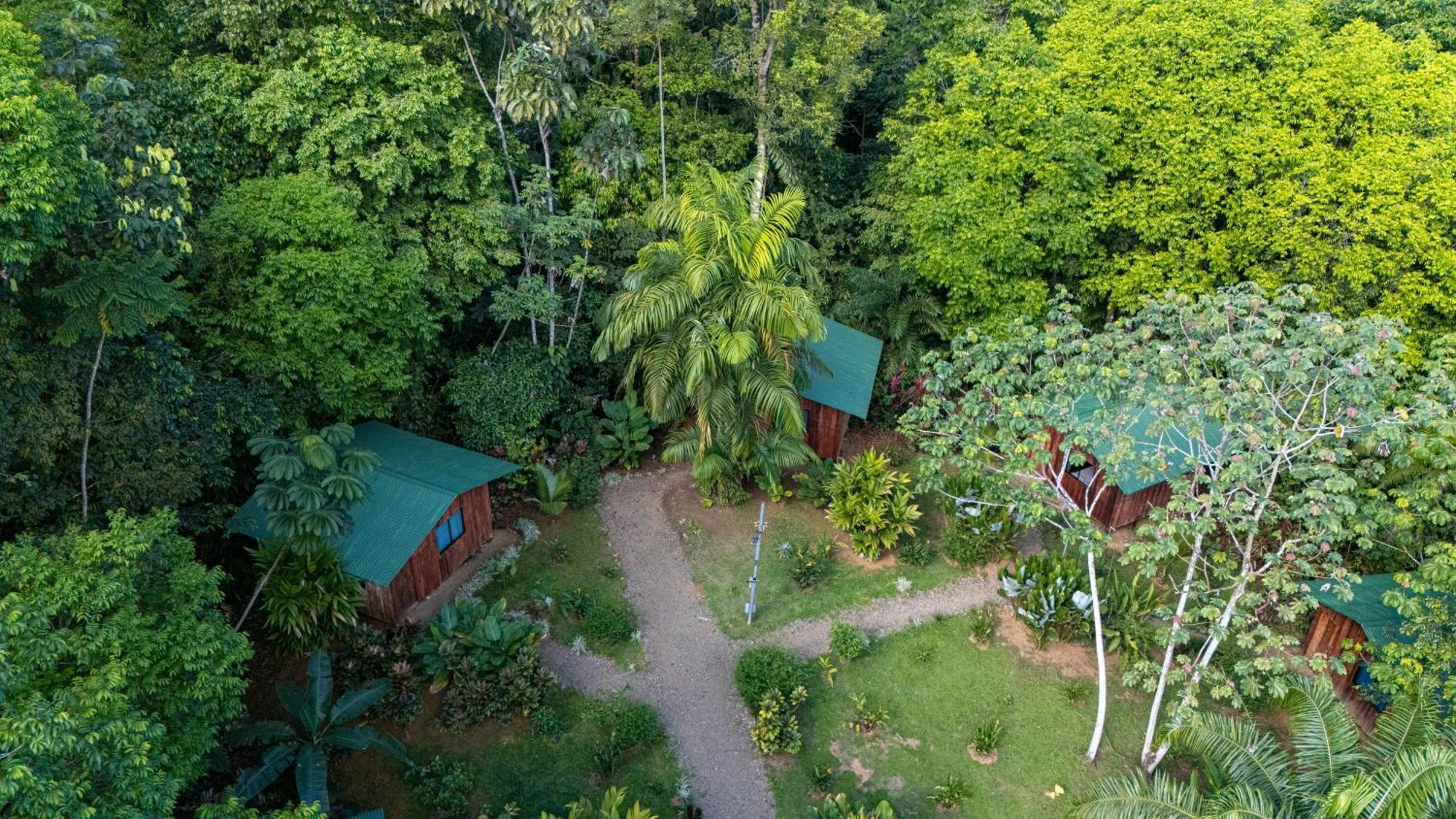 Citronela Lodge Corcovado Drake Bay Luaran gambar