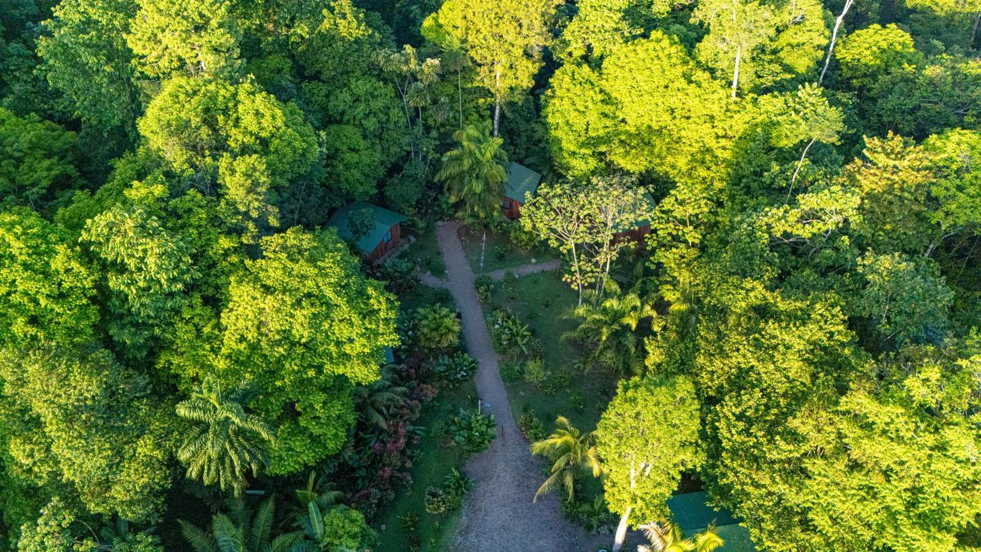 Citronela Lodge Corcovado Drake Bay Luaran gambar