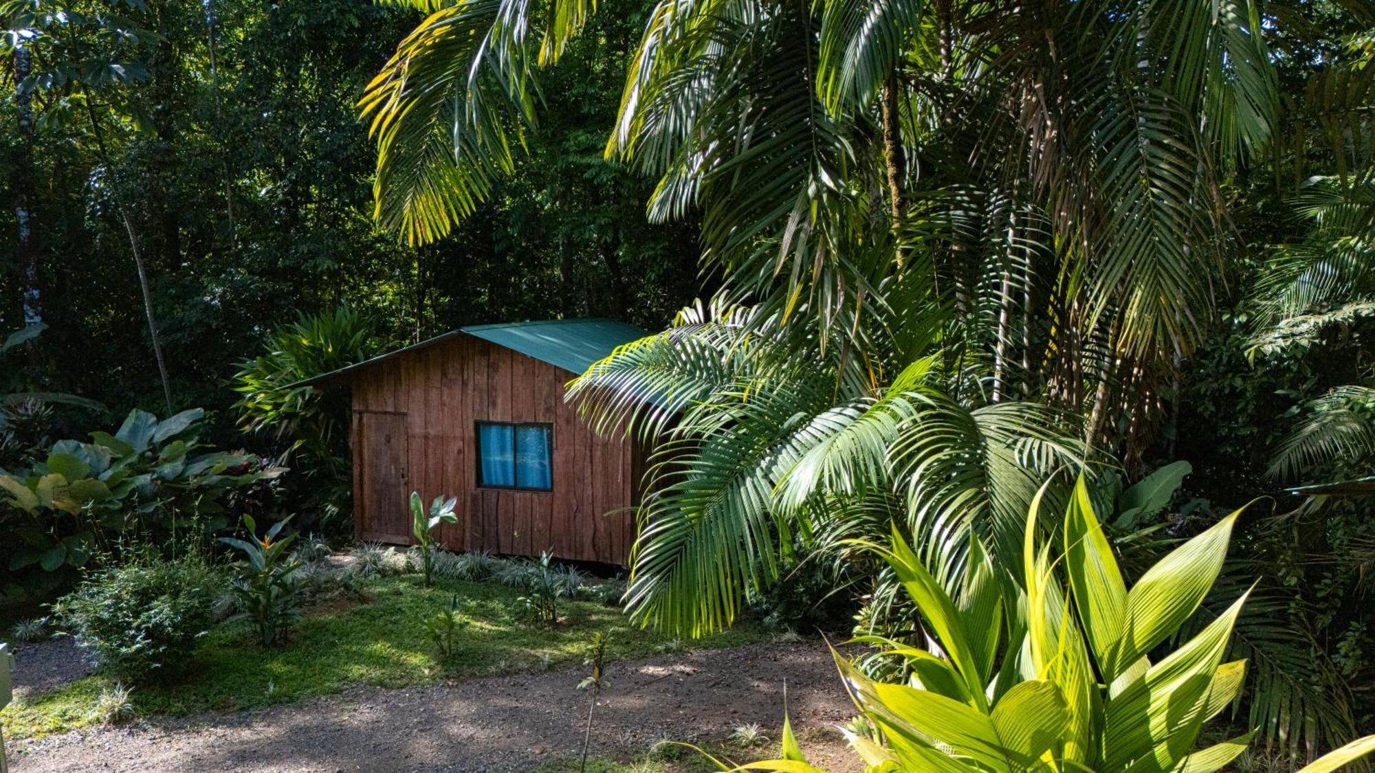Citronela Lodge Corcovado Drake Bay Luaran gambar