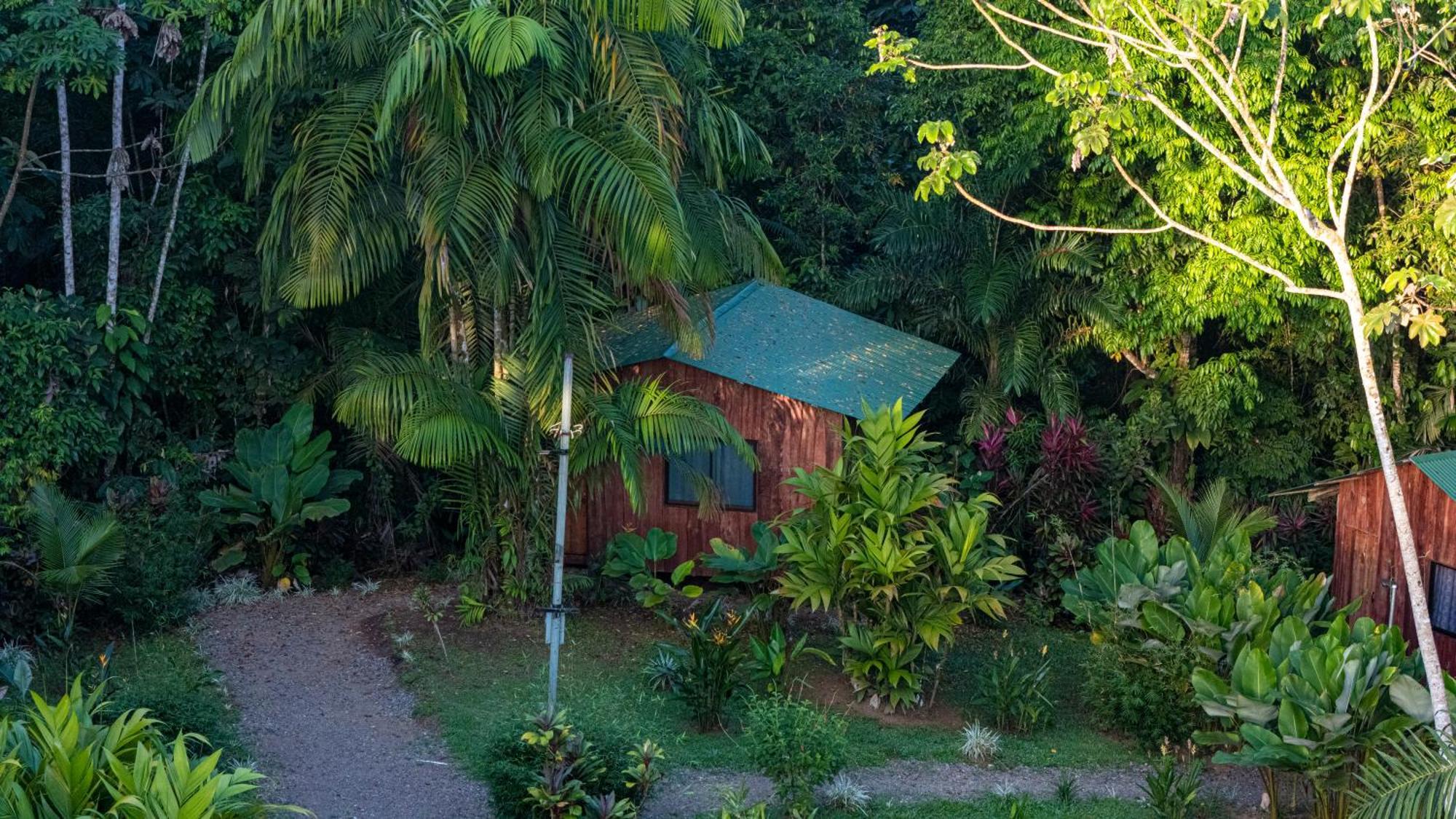 Citronela Lodge Corcovado Drake Bay Luaran gambar