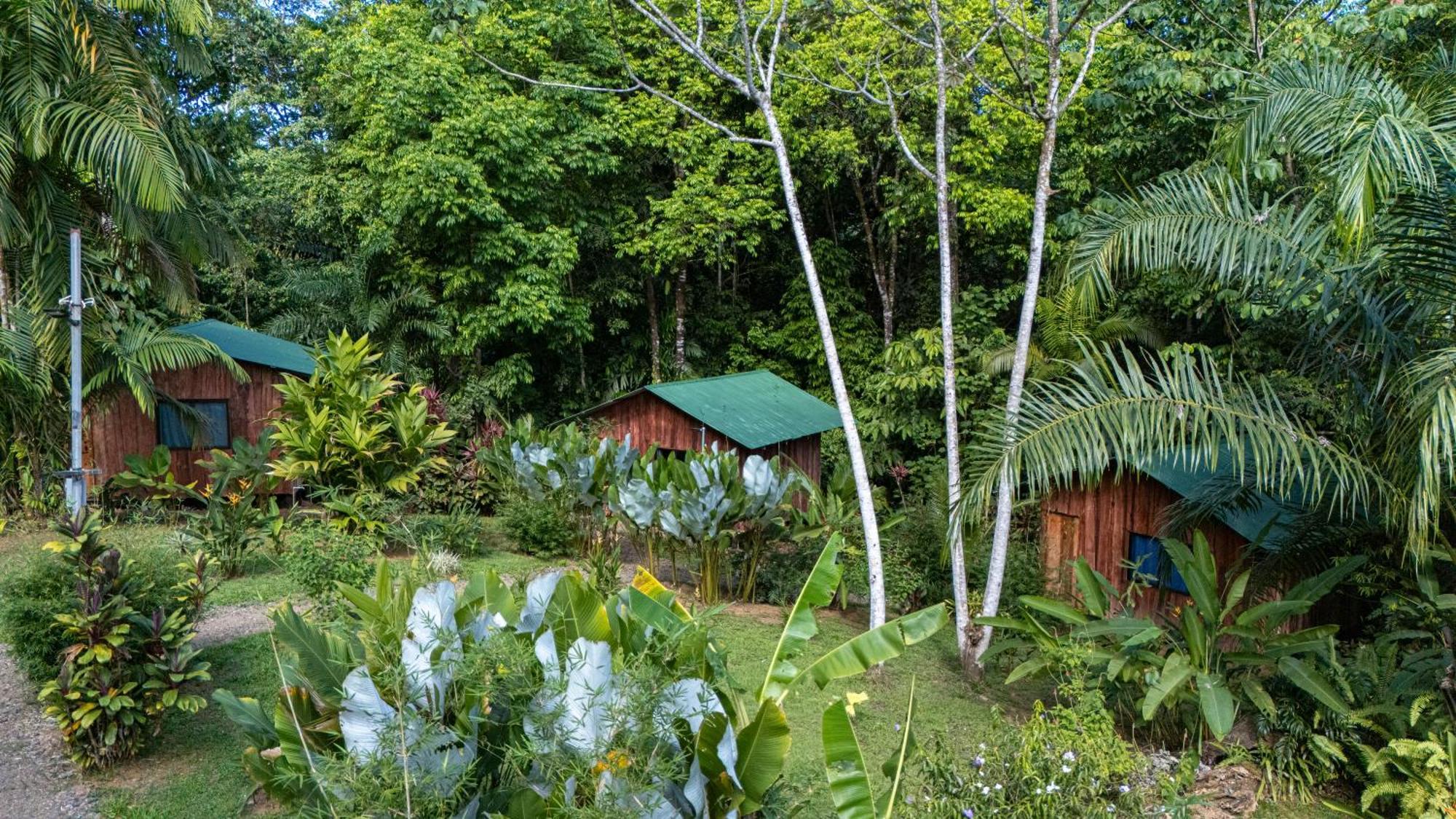 Citronela Lodge Corcovado Drake Bay Luaran gambar