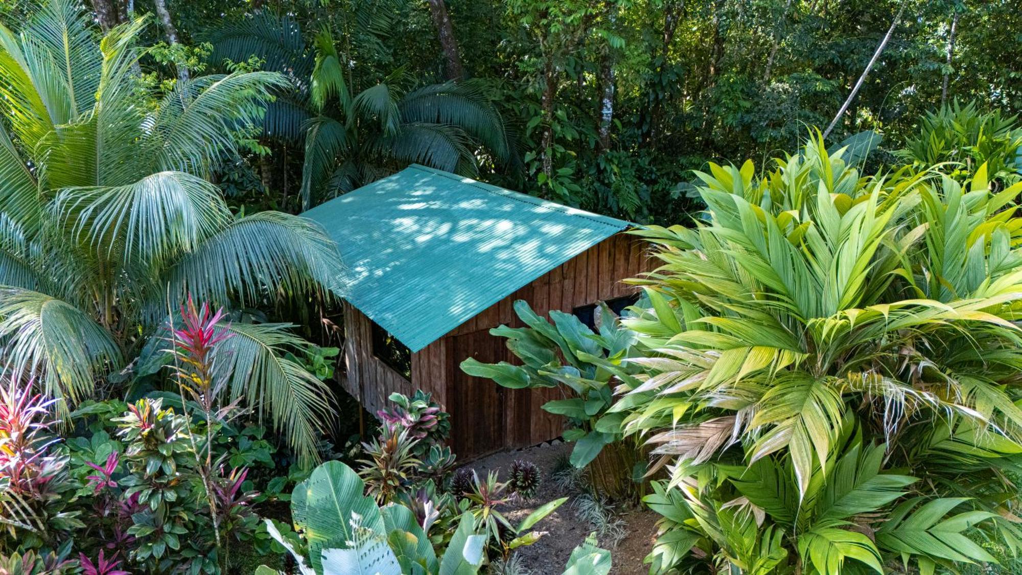 Citronela Lodge Corcovado Drake Bay Luaran gambar