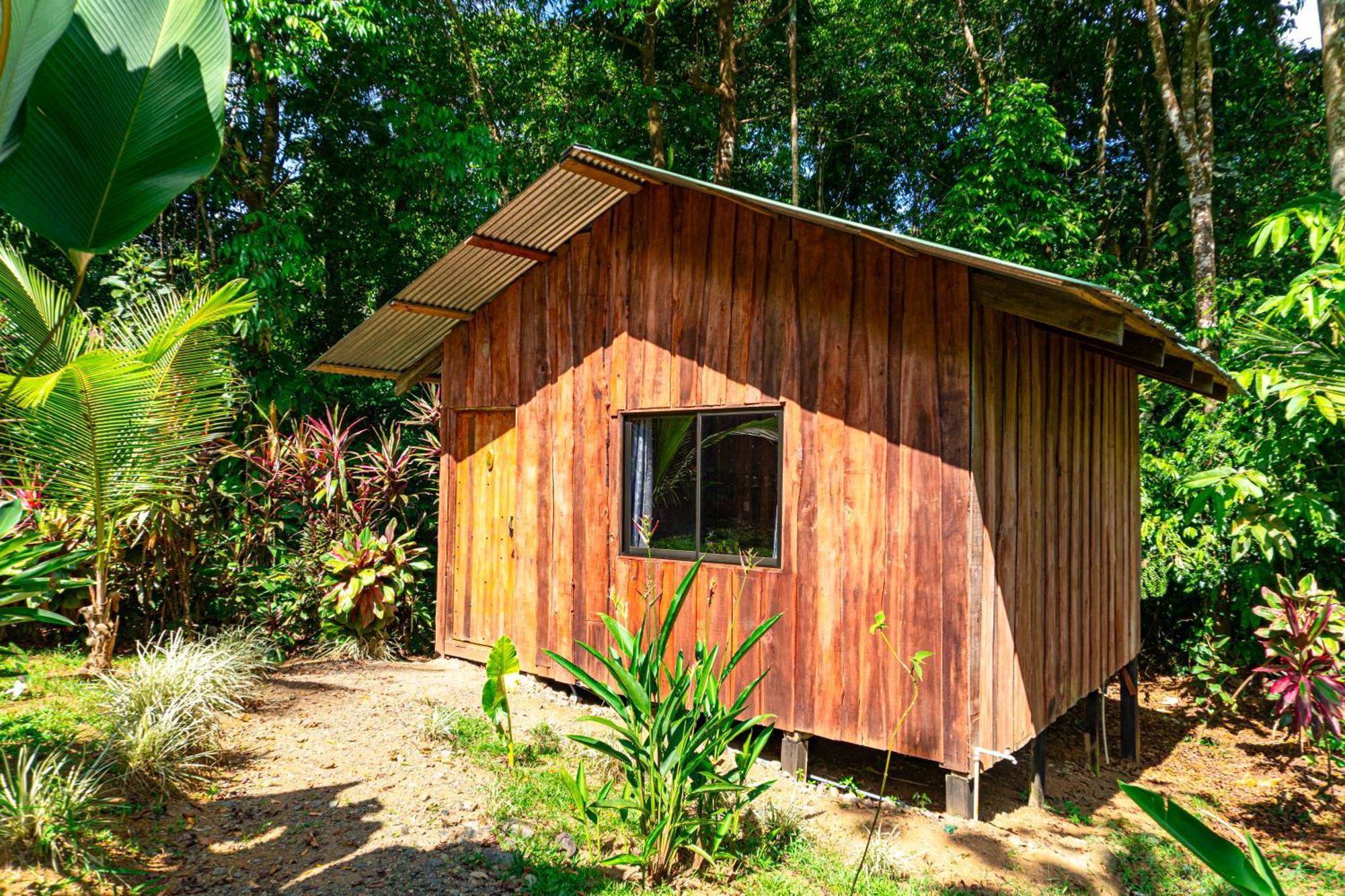 Citronela Lodge Corcovado Drake Bay Luaran gambar