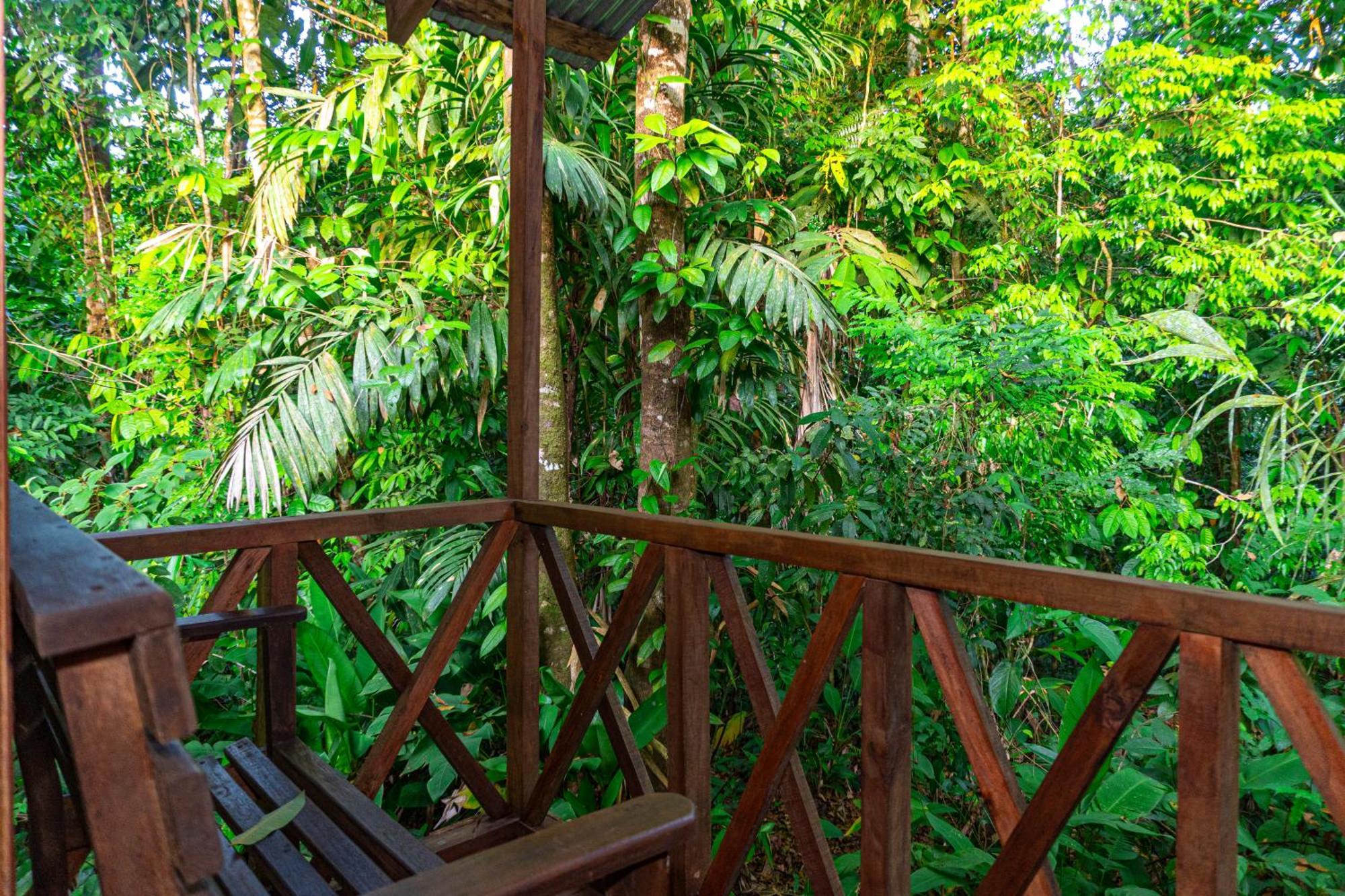 Citronela Lodge Corcovado Drake Bay Luaran gambar