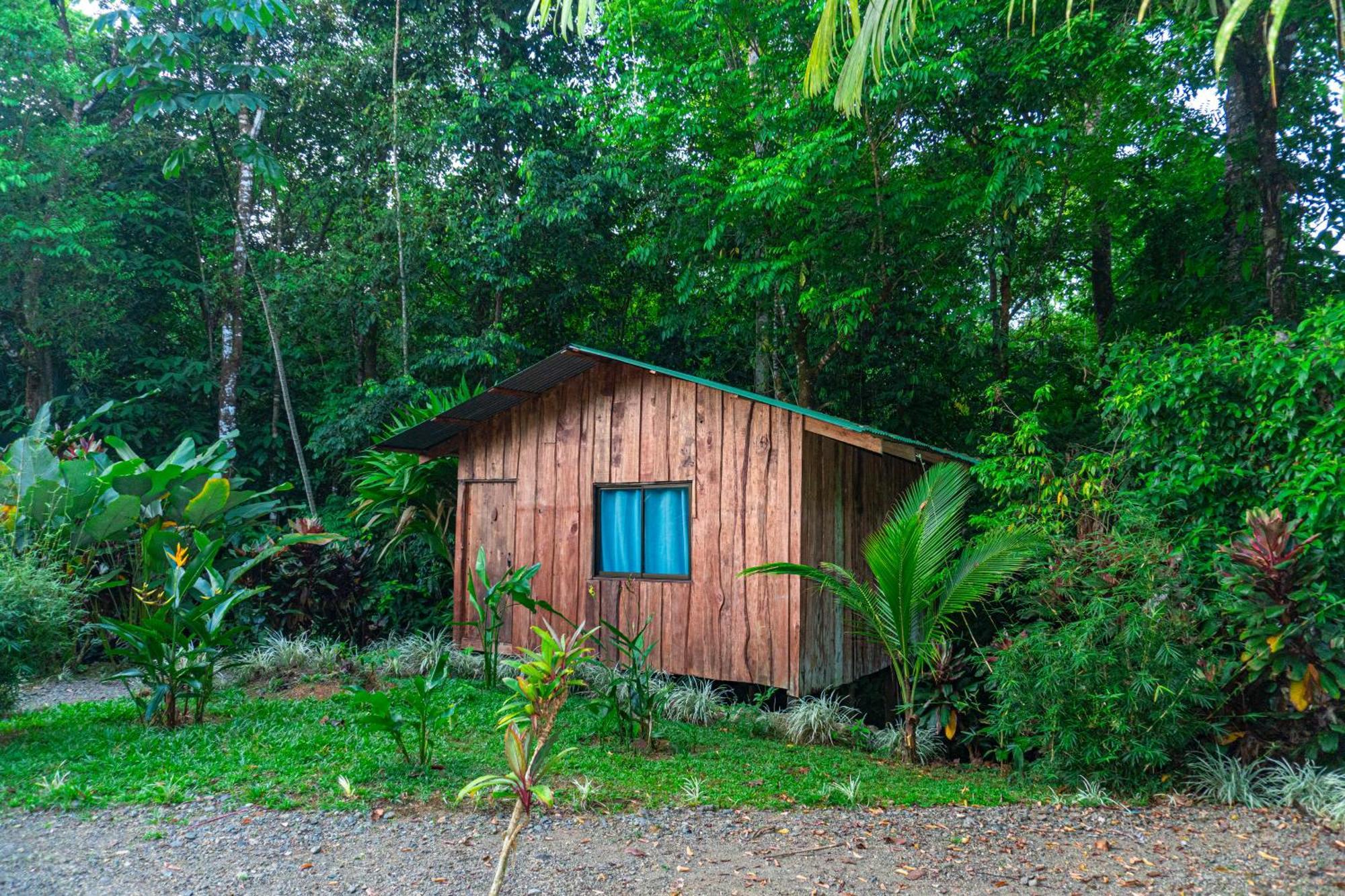 Citronela Lodge Corcovado Drake Bay Luaran gambar