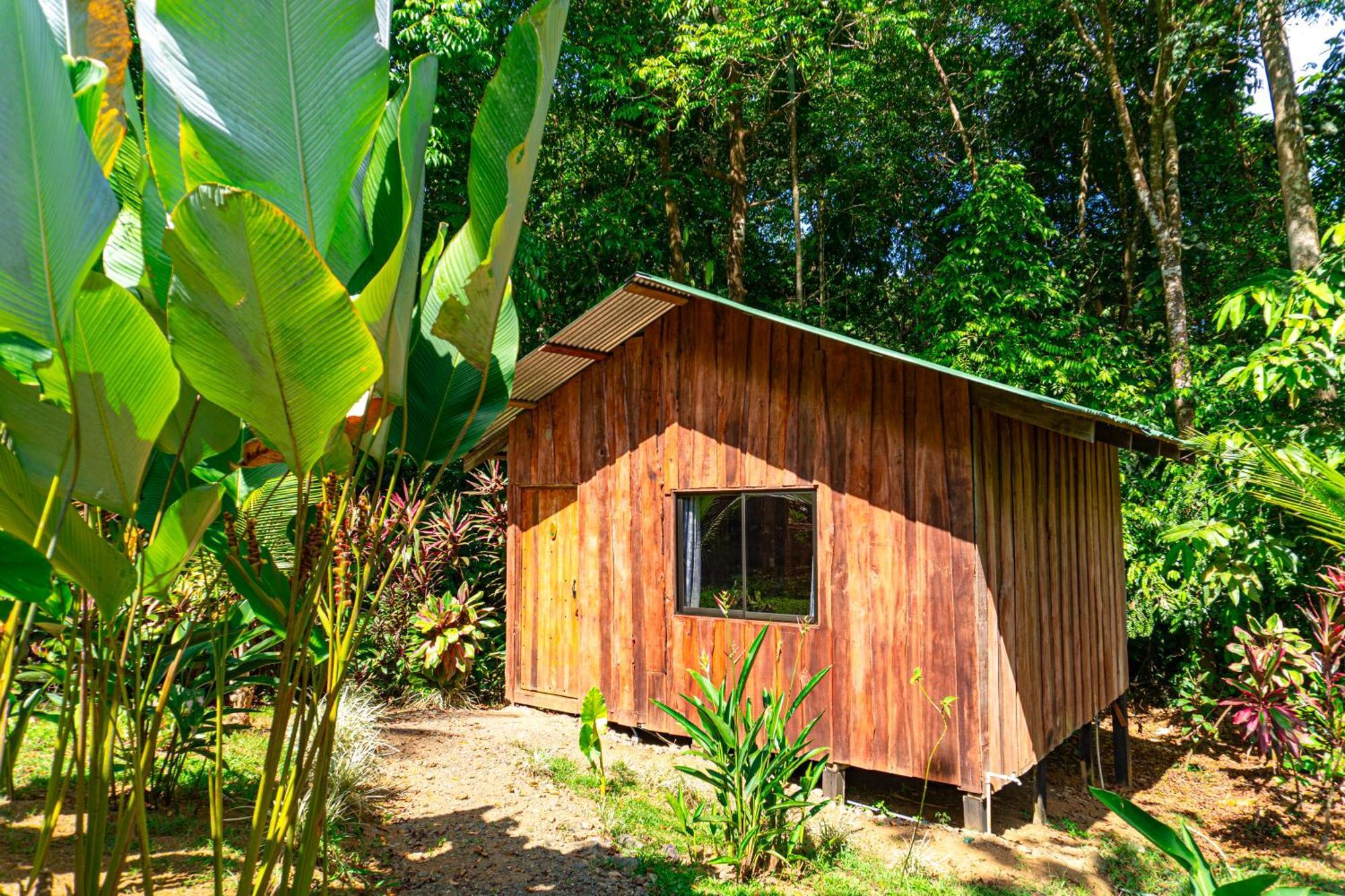 Citronela Lodge Corcovado Drake Bay Luaran gambar