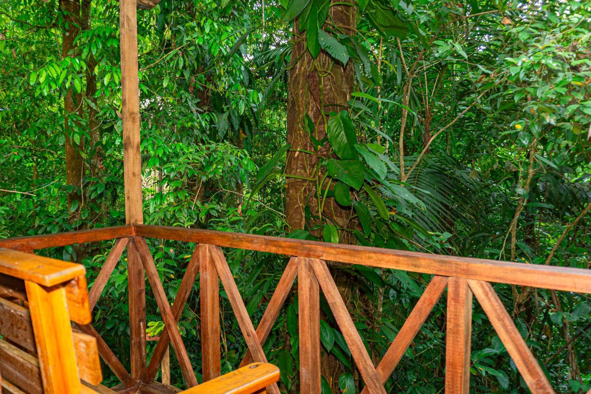 Citronela Lodge Corcovado Drake Bay Luaran gambar