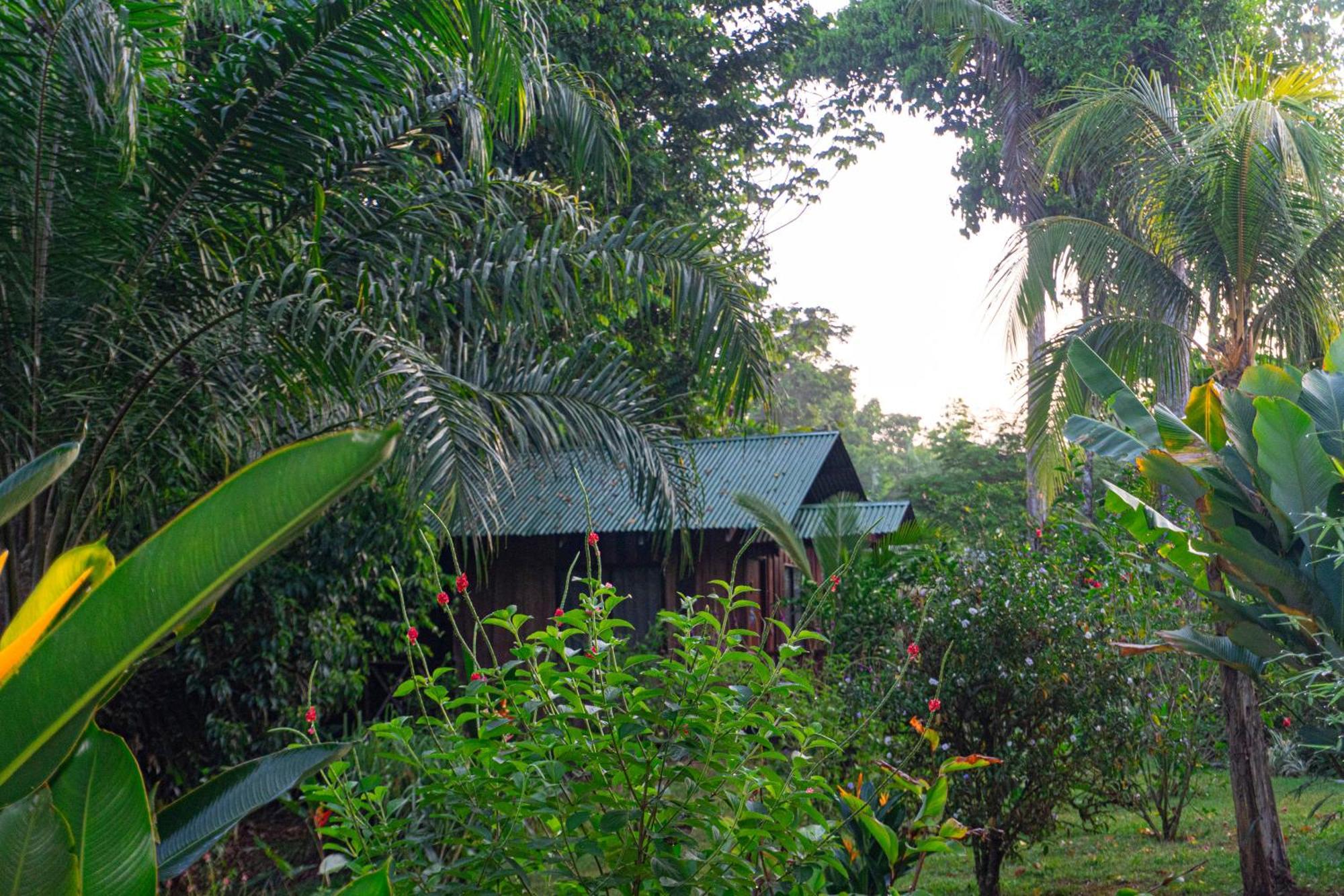 Citronela Lodge Corcovado Drake Bay Luaran gambar