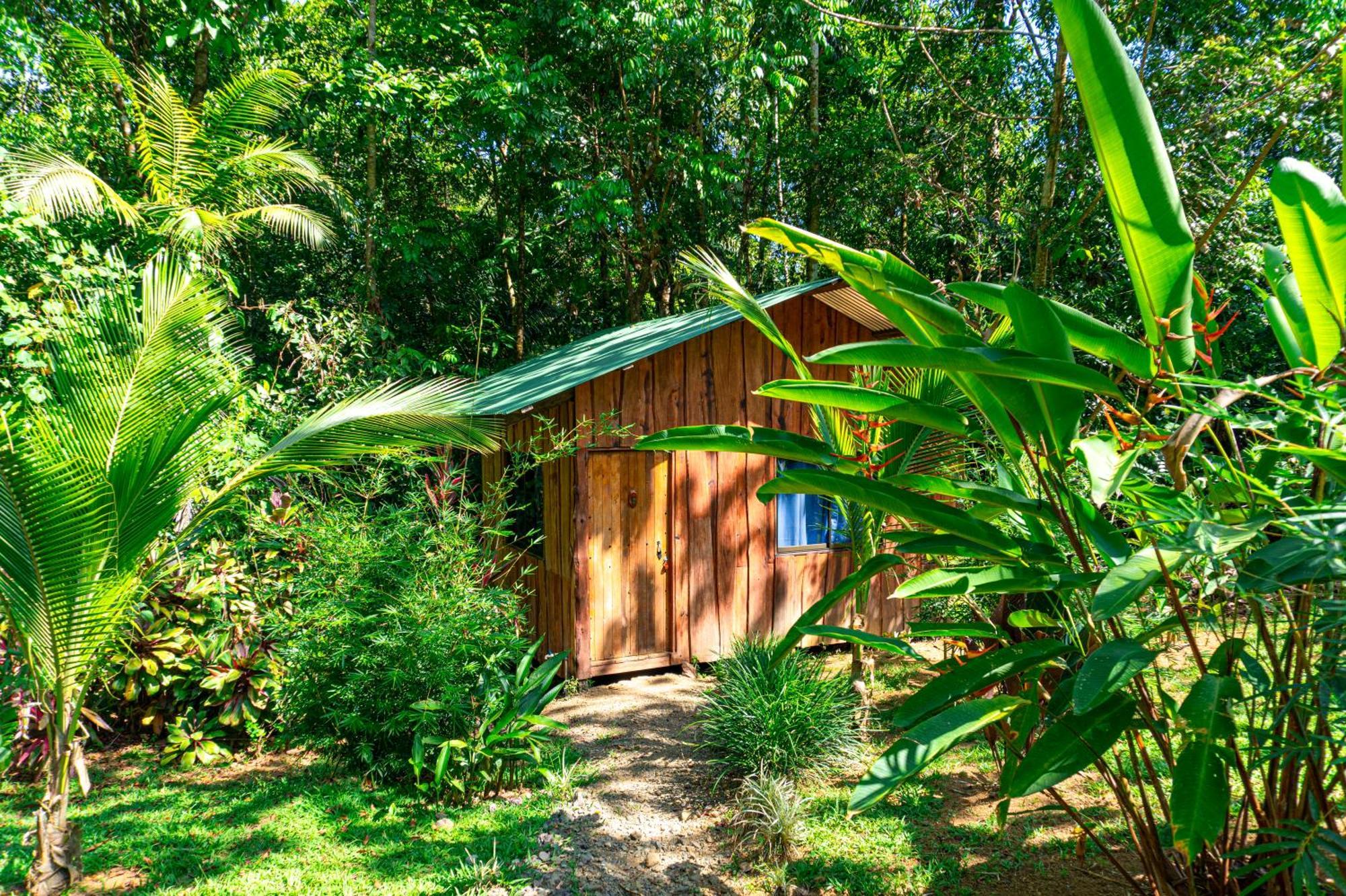 Citronela Lodge Corcovado Drake Bay Luaran gambar