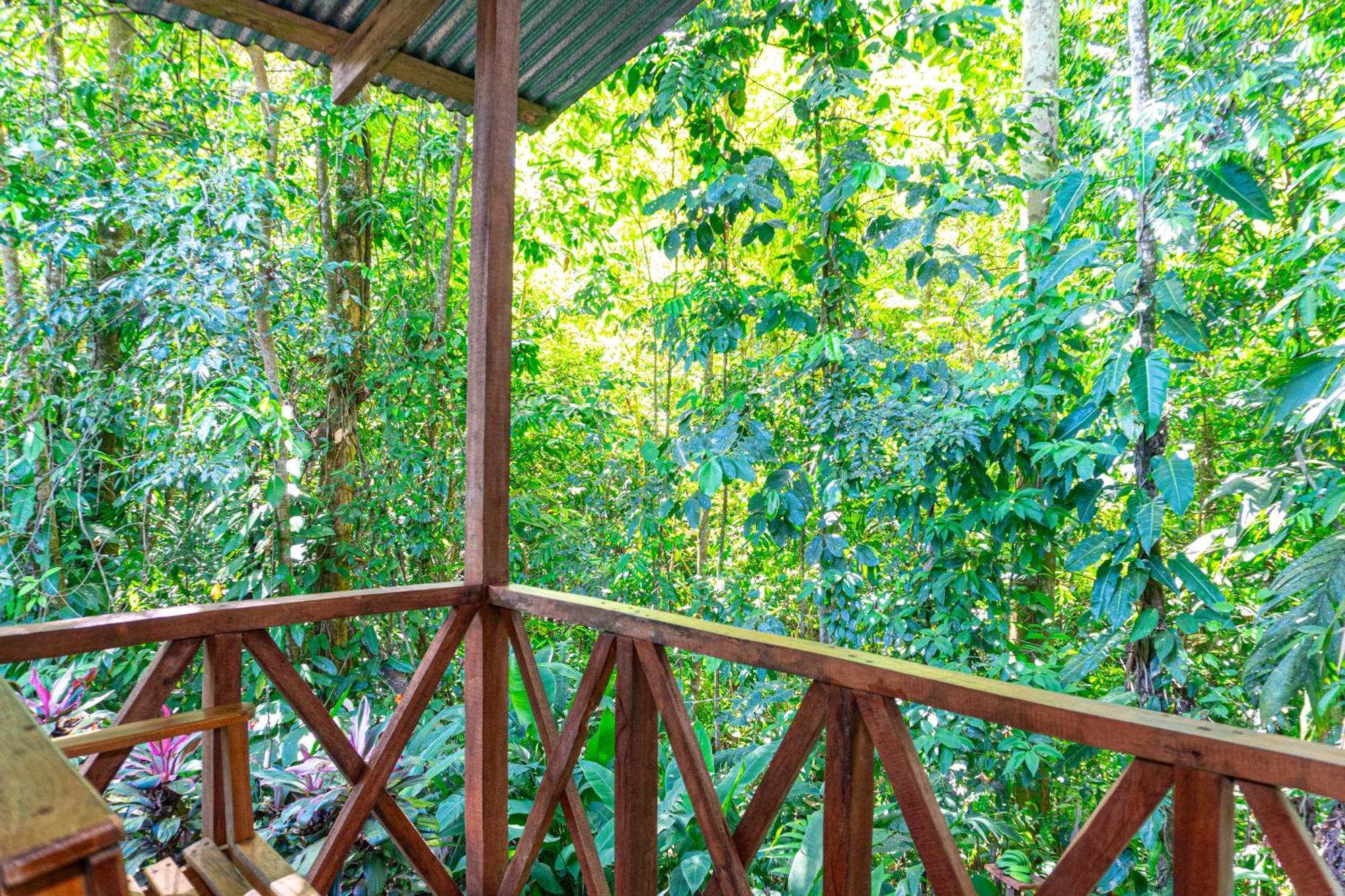 Citronela Lodge Corcovado Drake Bay Luaran gambar