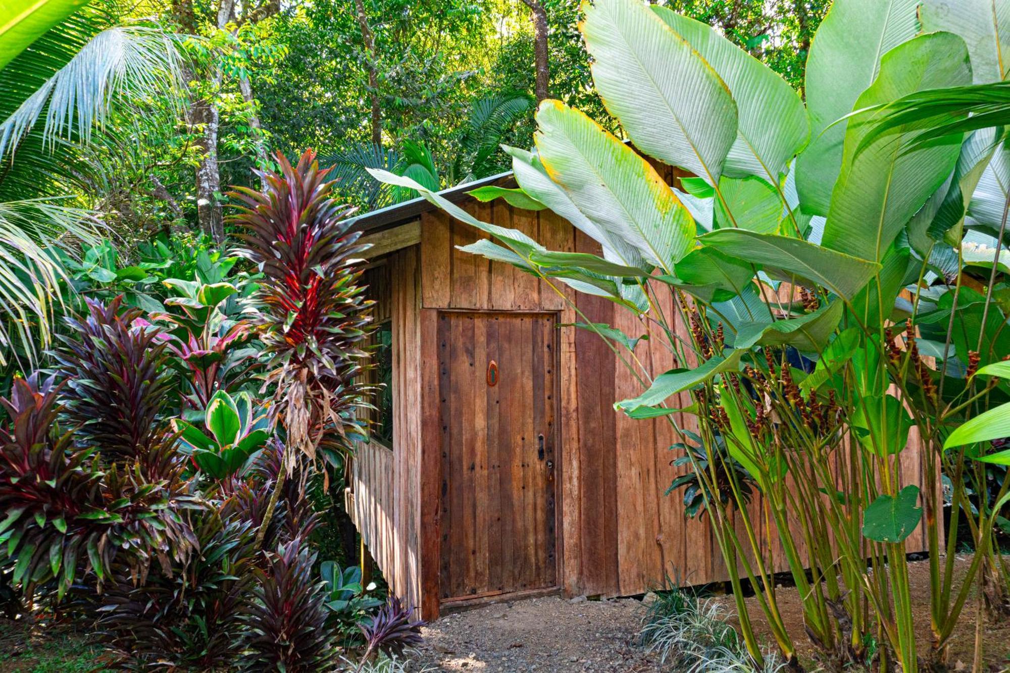 Citronela Lodge Corcovado Drake Bay Luaran gambar