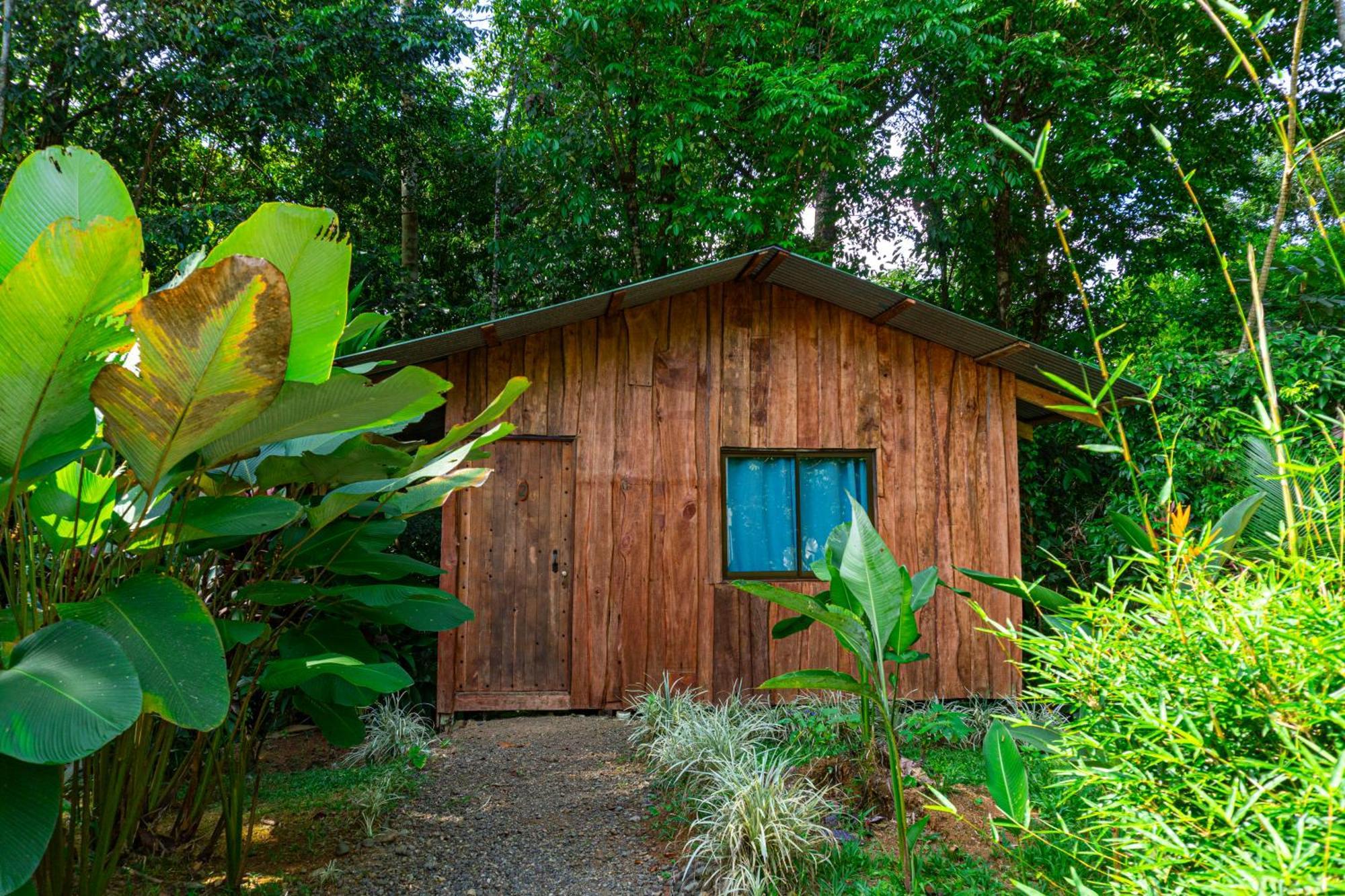 Citronela Lodge Corcovado Drake Bay Luaran gambar