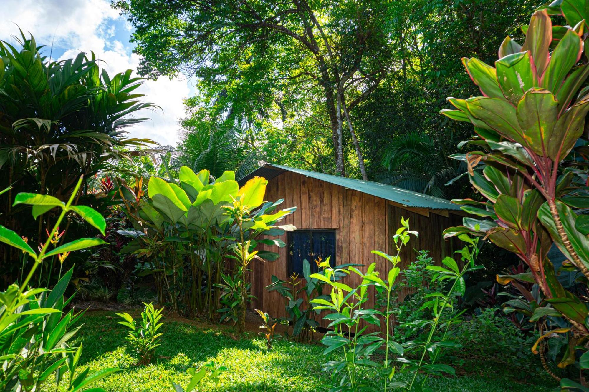 Citronela Lodge Corcovado Drake Bay Luaran gambar