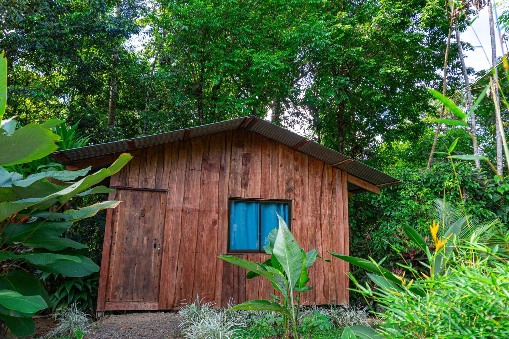 Citronela Lodge Corcovado Drake Bay Luaran gambar