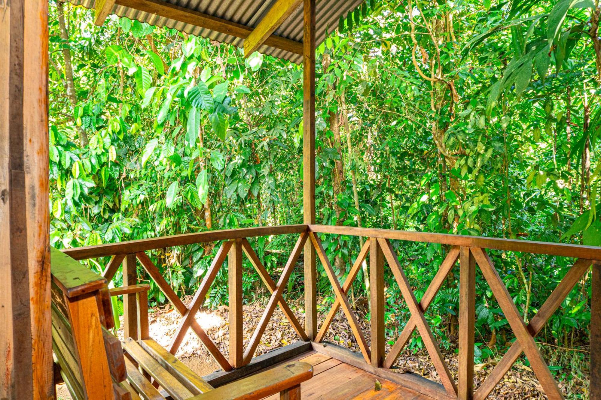 Citronela Lodge Corcovado Drake Bay Luaran gambar